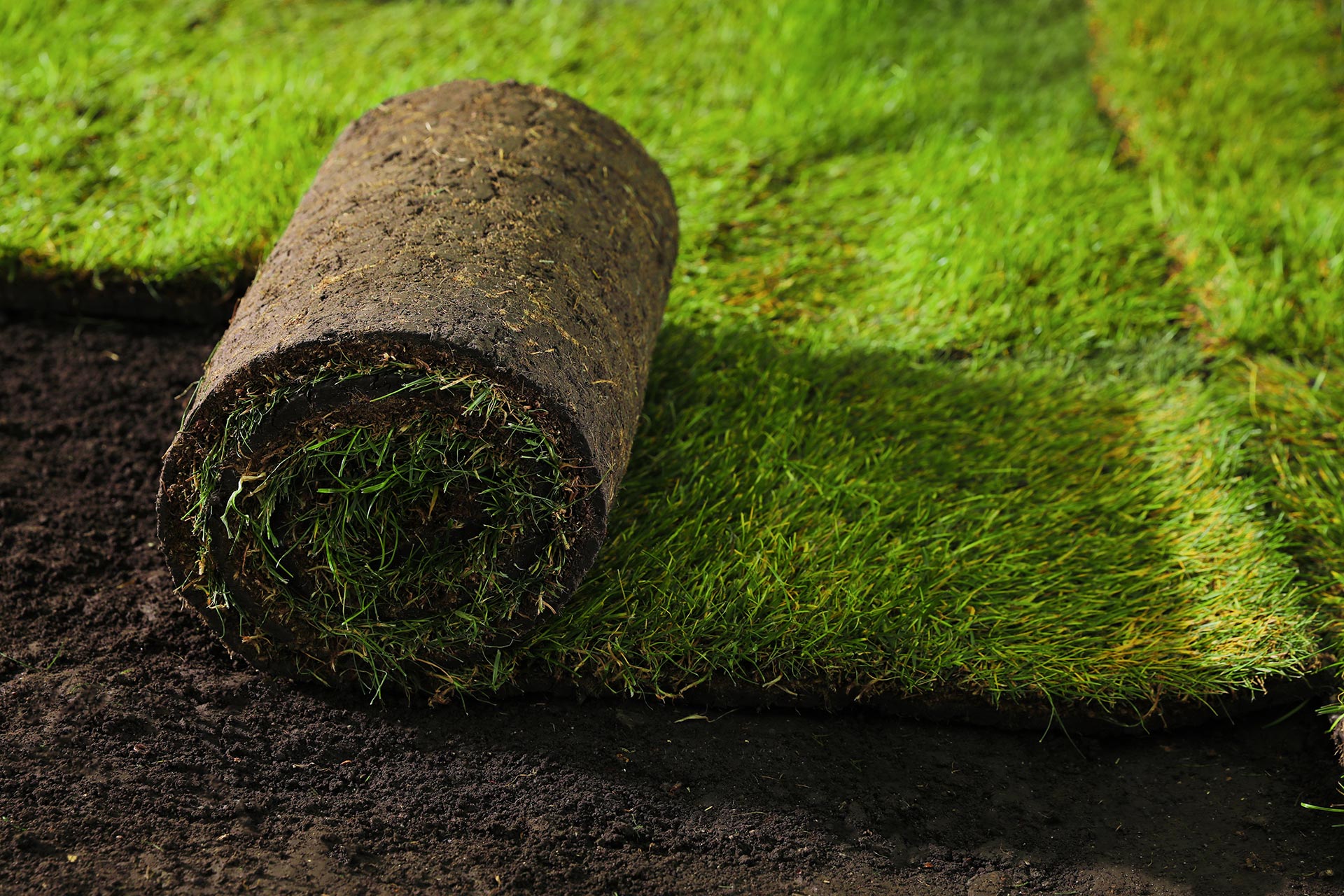 Bell Landscaping sod installation